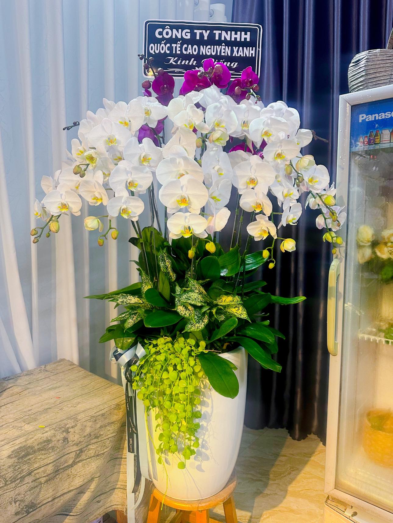 Lan Hồ Điệp (9)