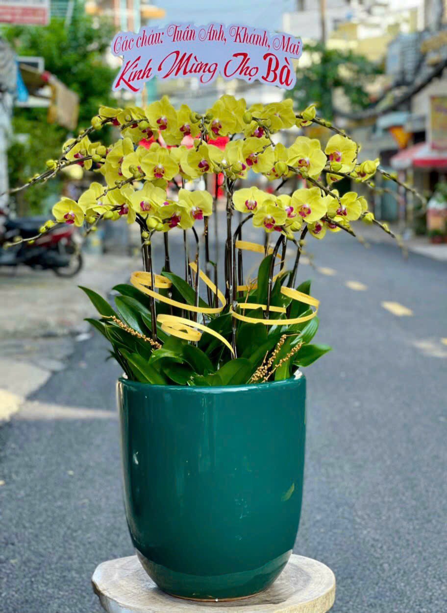 z4763843030906_2a36d15b2ac91257ff55a46892e4bbaf