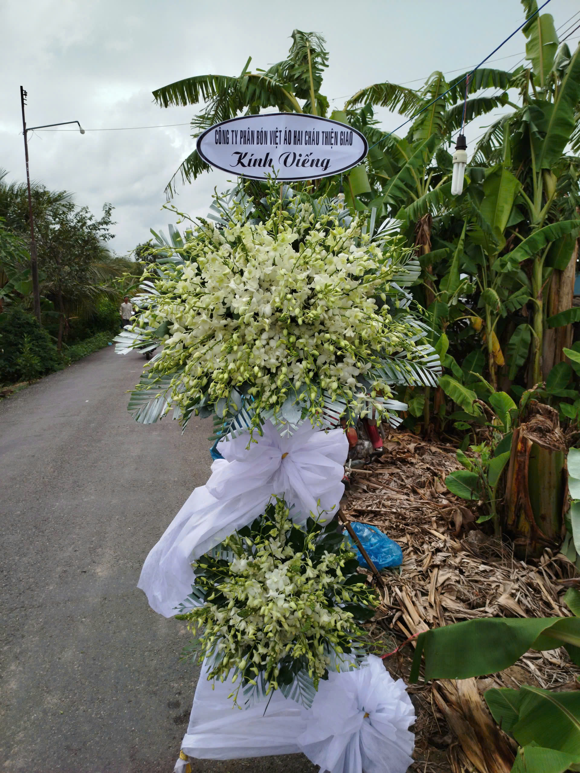 3a953dd64493cfcd9682