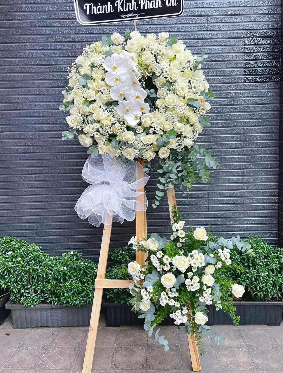 gen-h-z7035938469759_f431bc893a29905605fd5cbffcca2126