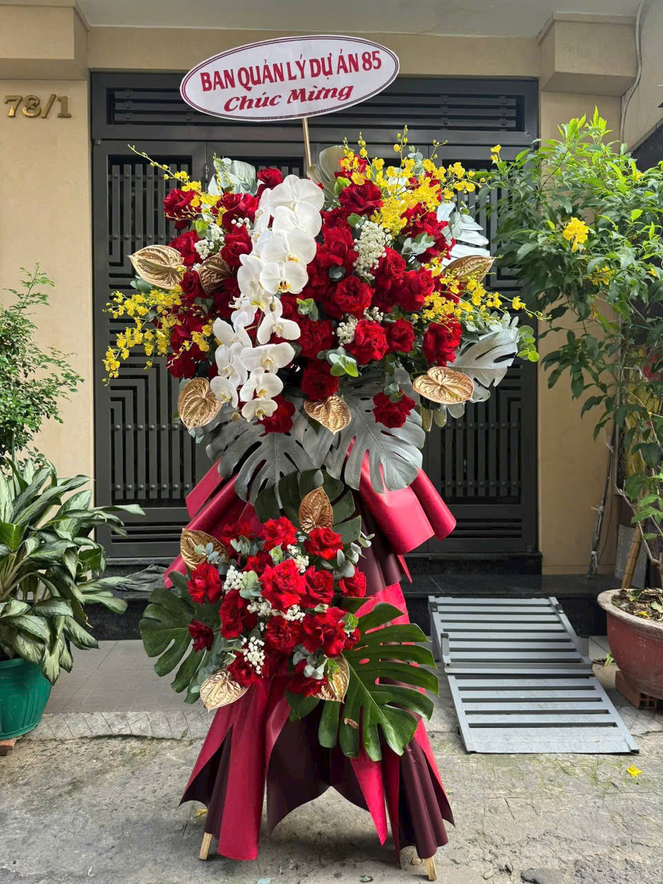 gen-h-z7053522372144_e01087048d86530faf9253950524b111