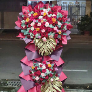 Hoa Khai Trương - HKT41