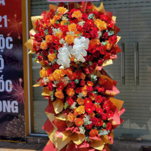 Hoa Khai Trương - HKT42