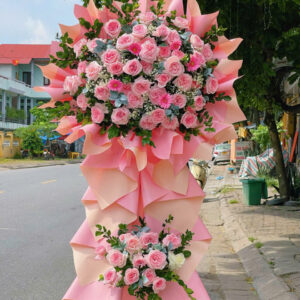 Hoa Khai Trương - HKT46