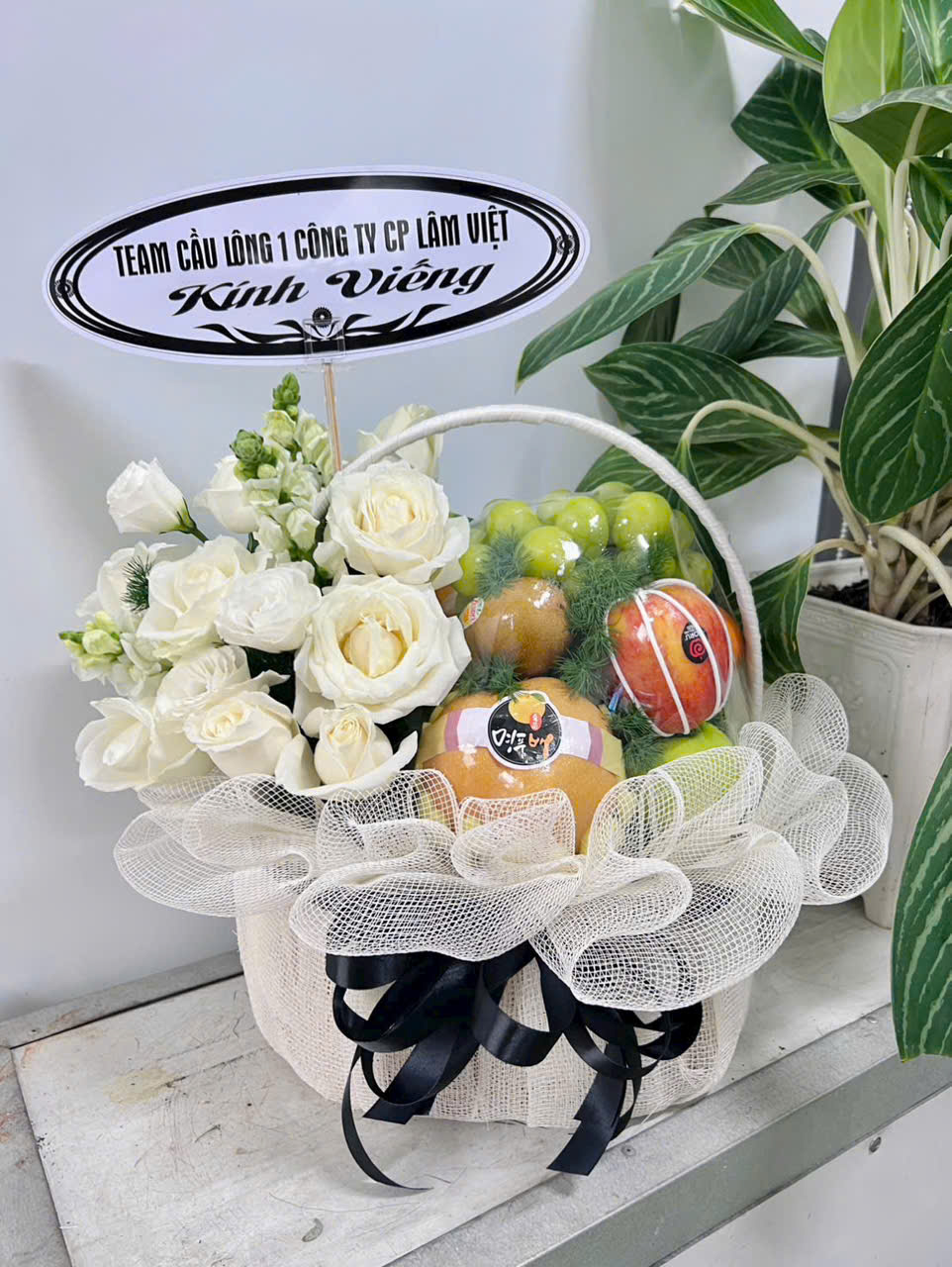 gen-h-z7348754804981_d9f2262b52c9d0b82bf7b16fe84b2e7a