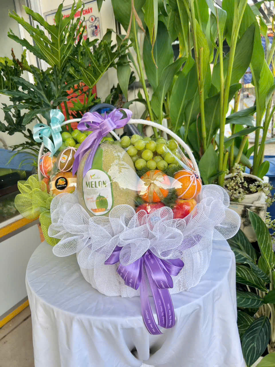 gen-h-z7348754815684_d660e409884bcd92ab49d0dda3a4a23b