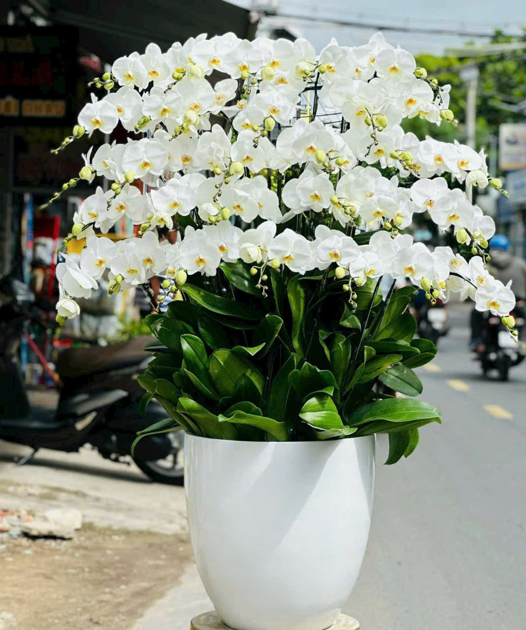 gen-h-z7356406540640_18e385f21d6d7a9877e2c6d5aa8eb1a8