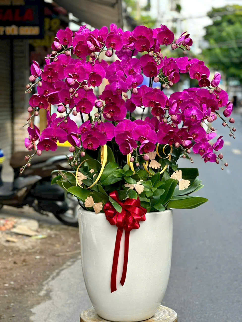 gen-h-z7356406562330_acc7d6170c35334bbd884b056f05fddb