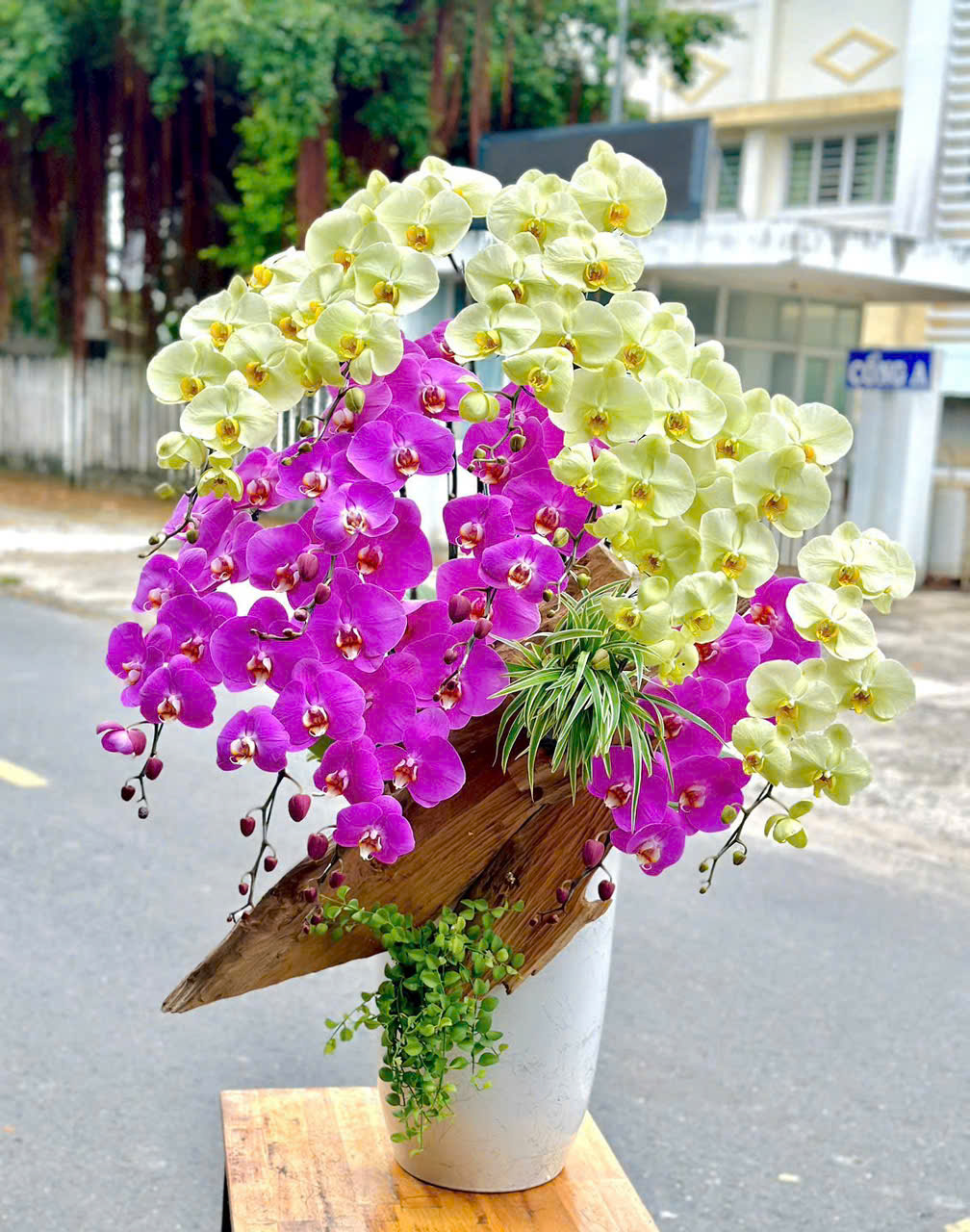 gen-h-z7356406654015_d8865af1fe19154ea48767f750128f40