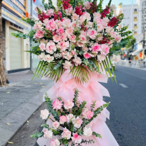 Hoa Khai Trương - HKT49