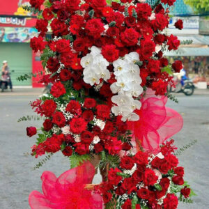 Hoa Khai Trương - HKT50