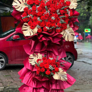 Hoa Khai Trương - HKT58