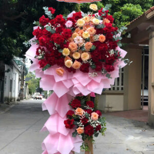 Hoa Khai Trương - HKT59