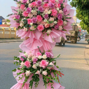 Hoa Khai Trương - HKT63