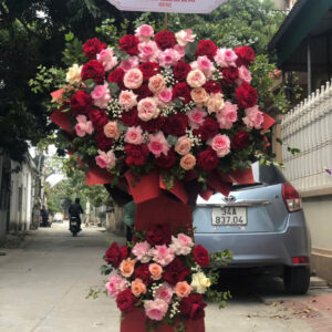 Hoa Khai Trương - HKT66