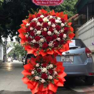 Hoa Khai Trương - HKT67