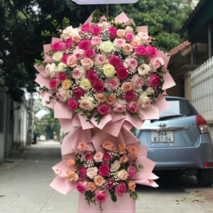 Hoa Khai Trương - HKT69