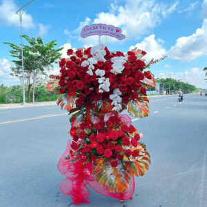 Hoa Khai Trương - HKT85