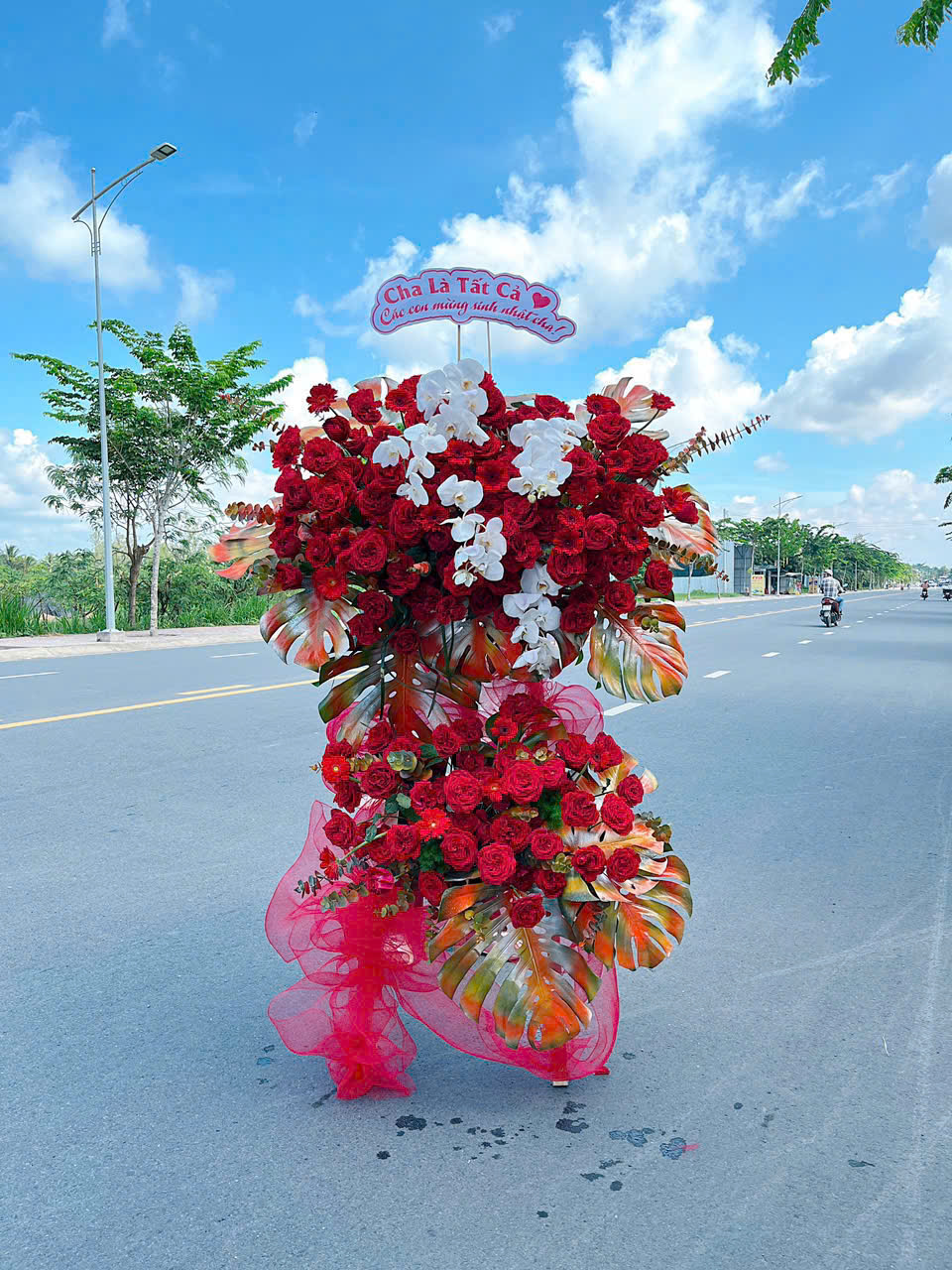 z6529116356668_248857ce11e982f2cde48221254ae5c8